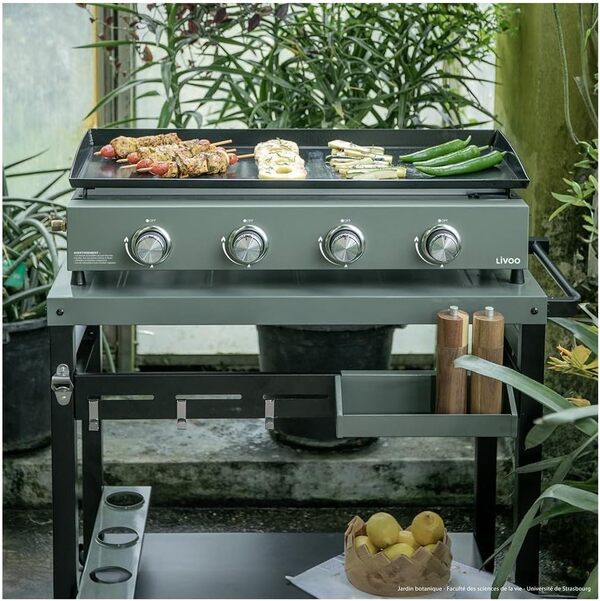 LIVOO - Plancha gaz 4 brûleurs DOC325 - puissance totale de 10 kW, 78,5 x 34,5 cm de cuisson, 10 à 12 personnes, butane et propane