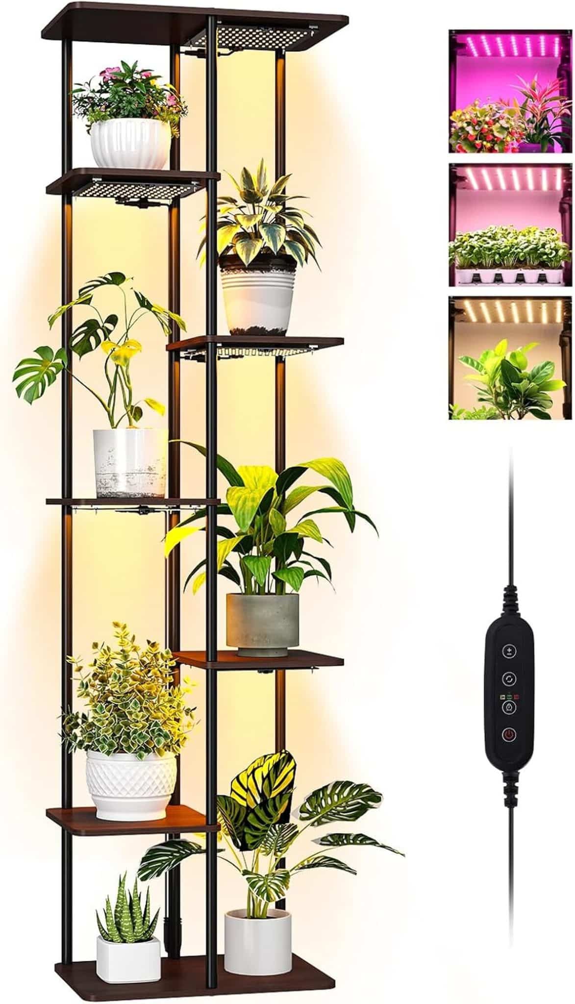 Test du support Bstrip : plantes d'intérieur éclairées et stylisées